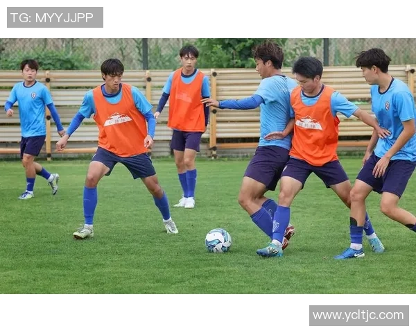 足球明星里程碑之路：从草根到巅峰的奋斗故事与荣耀瞬间